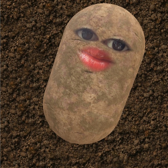 michimo14